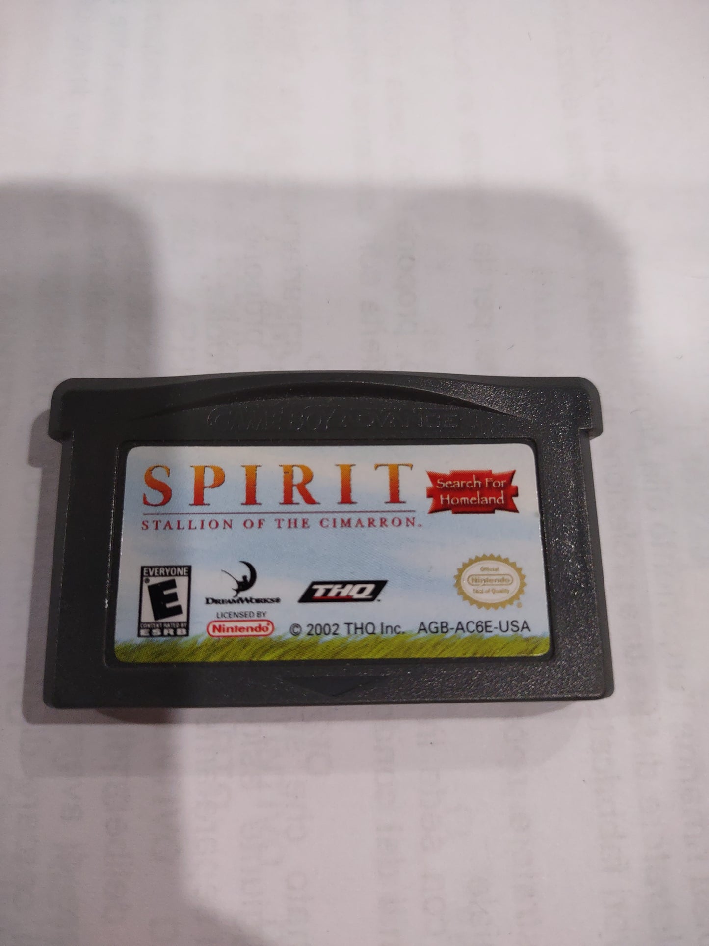 Gioco game boy Advance Nintendo Spirit