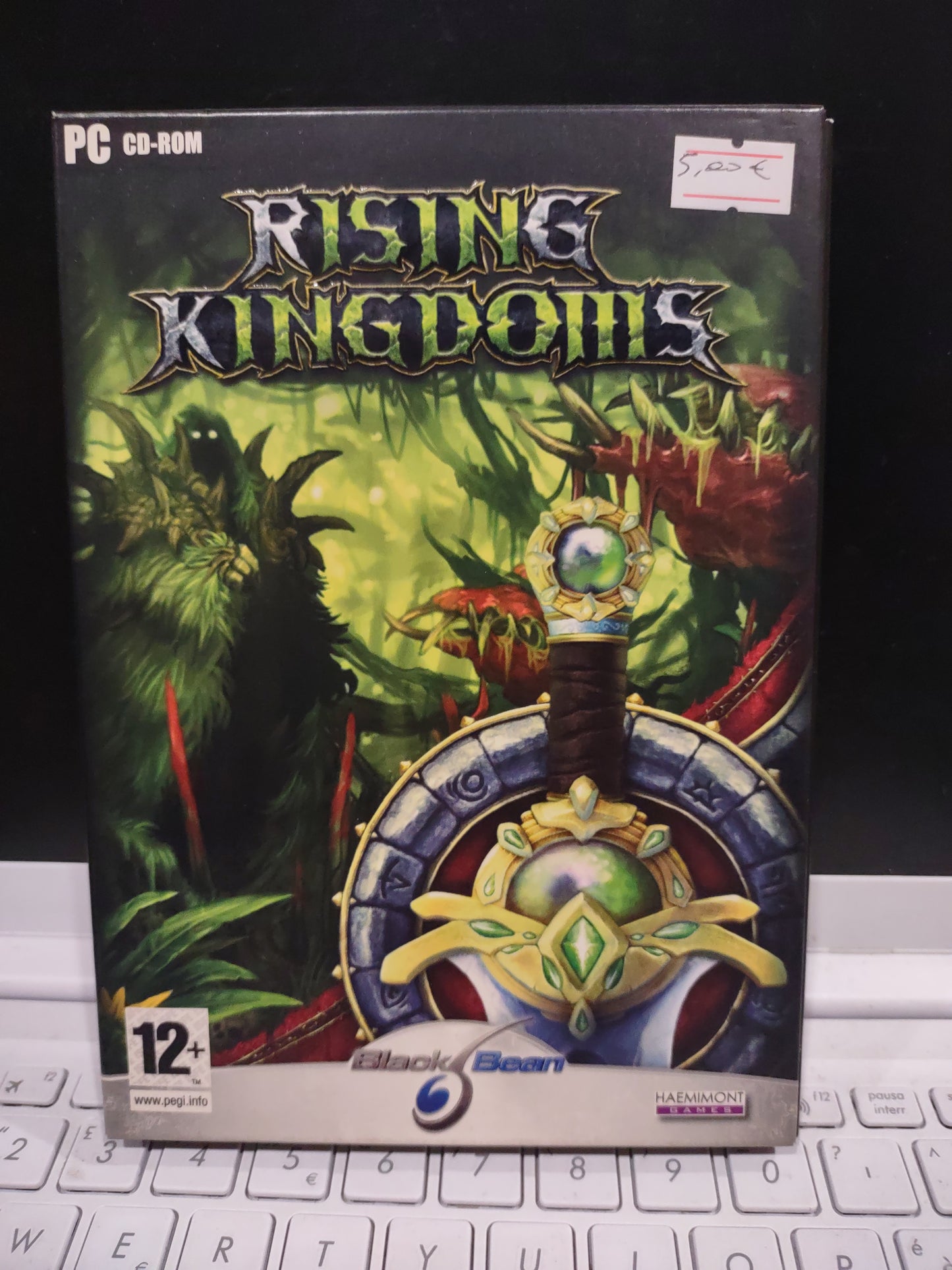 Gioco pc computer rising Kingdoms