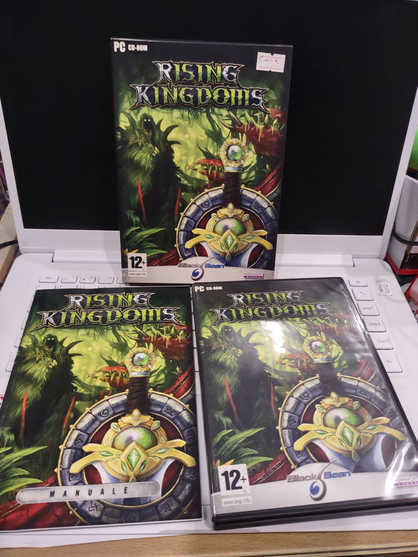 Gioco pc computer rising Kingdoms