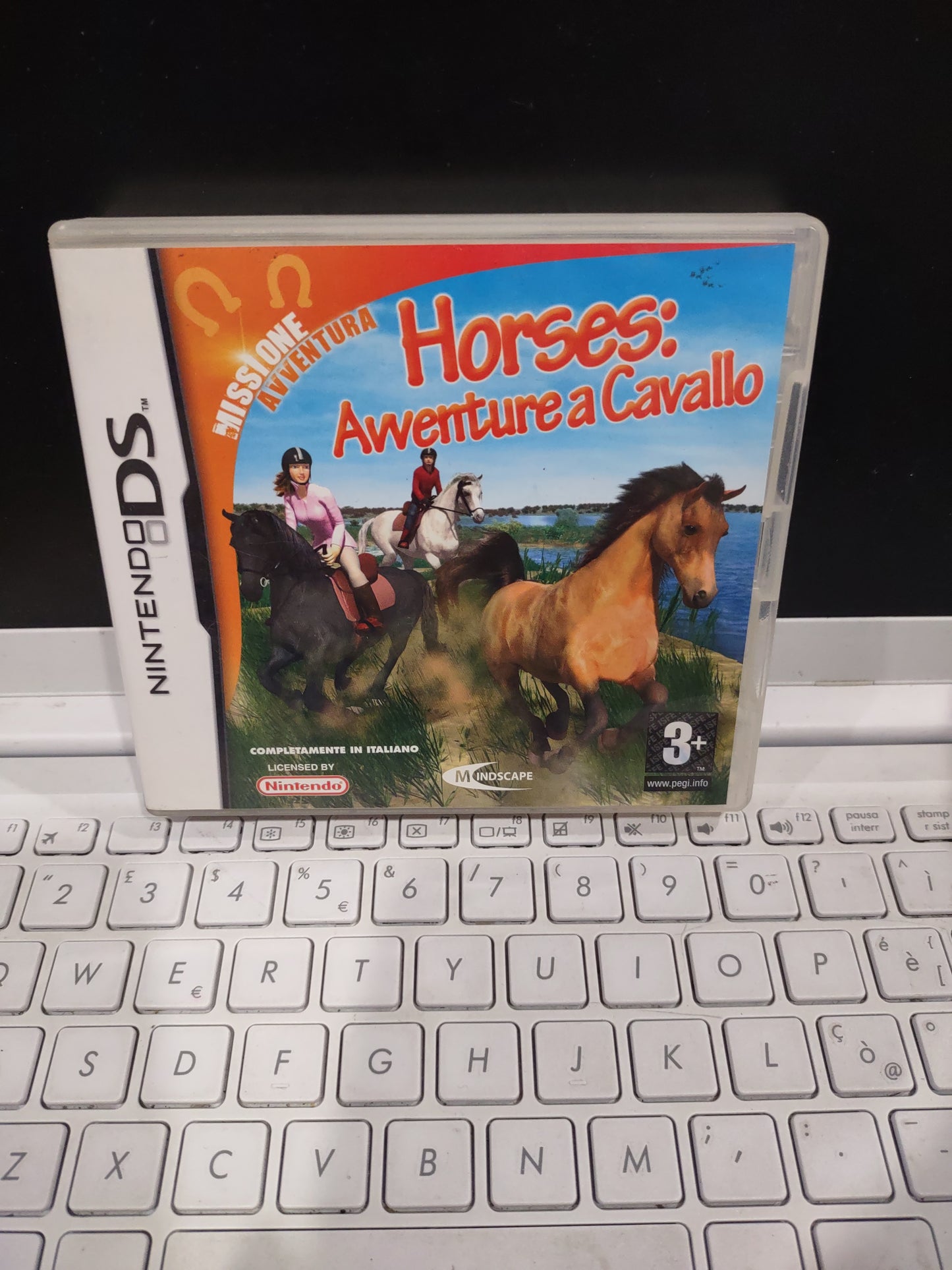 Gioco Nintendo DS horses avventura a cavallo