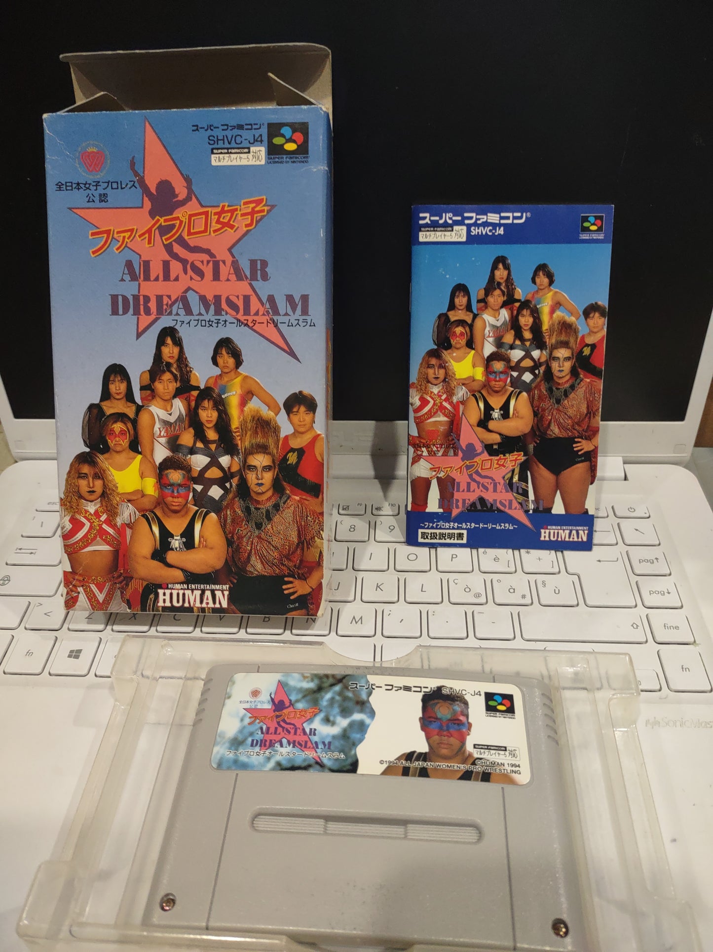 Gioco super famicom wrestling Japan all star dreamslam