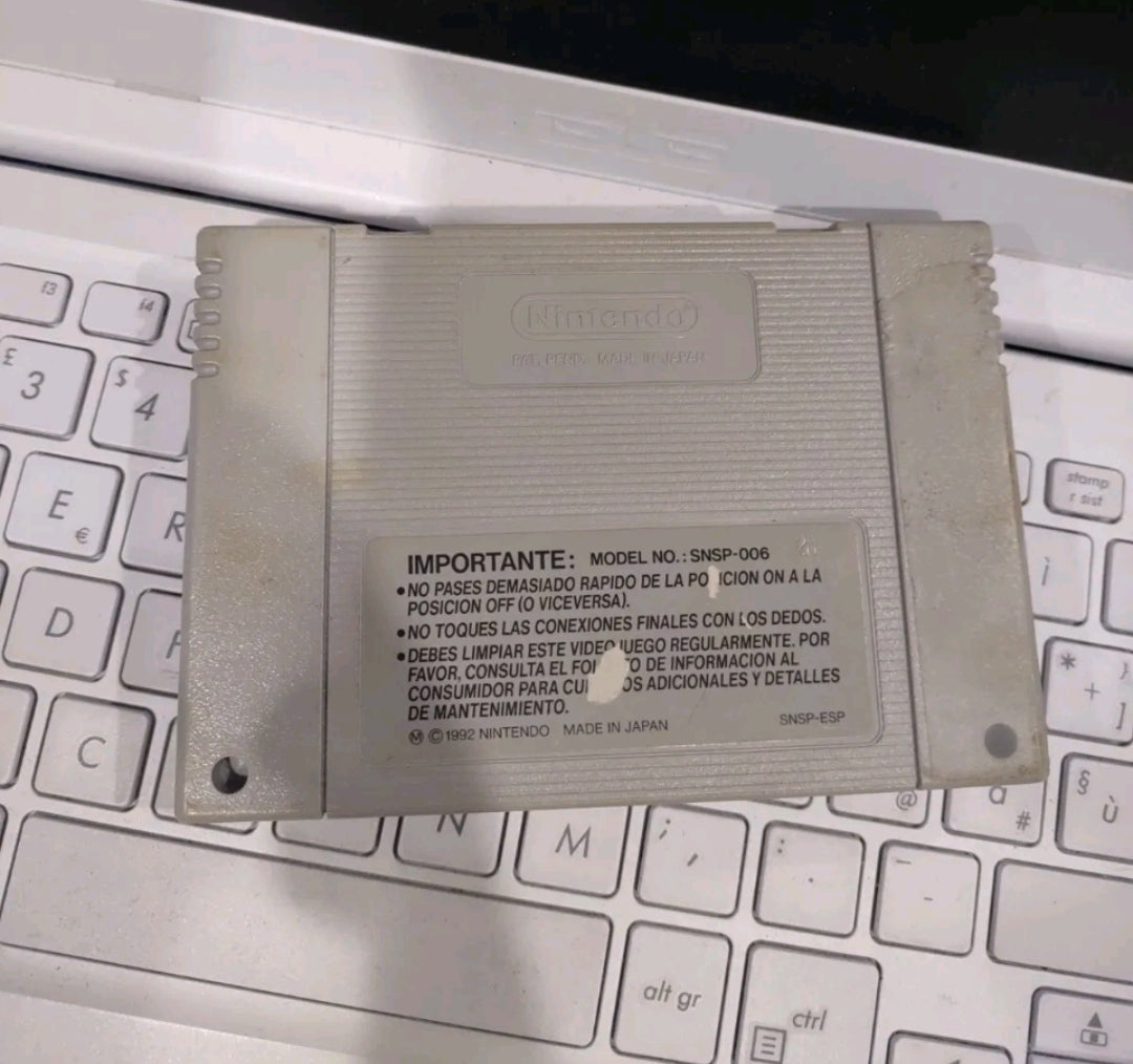 Best of The Best Championship Karate SUPER NINTENDO SNES PAL esp cartuccia loose