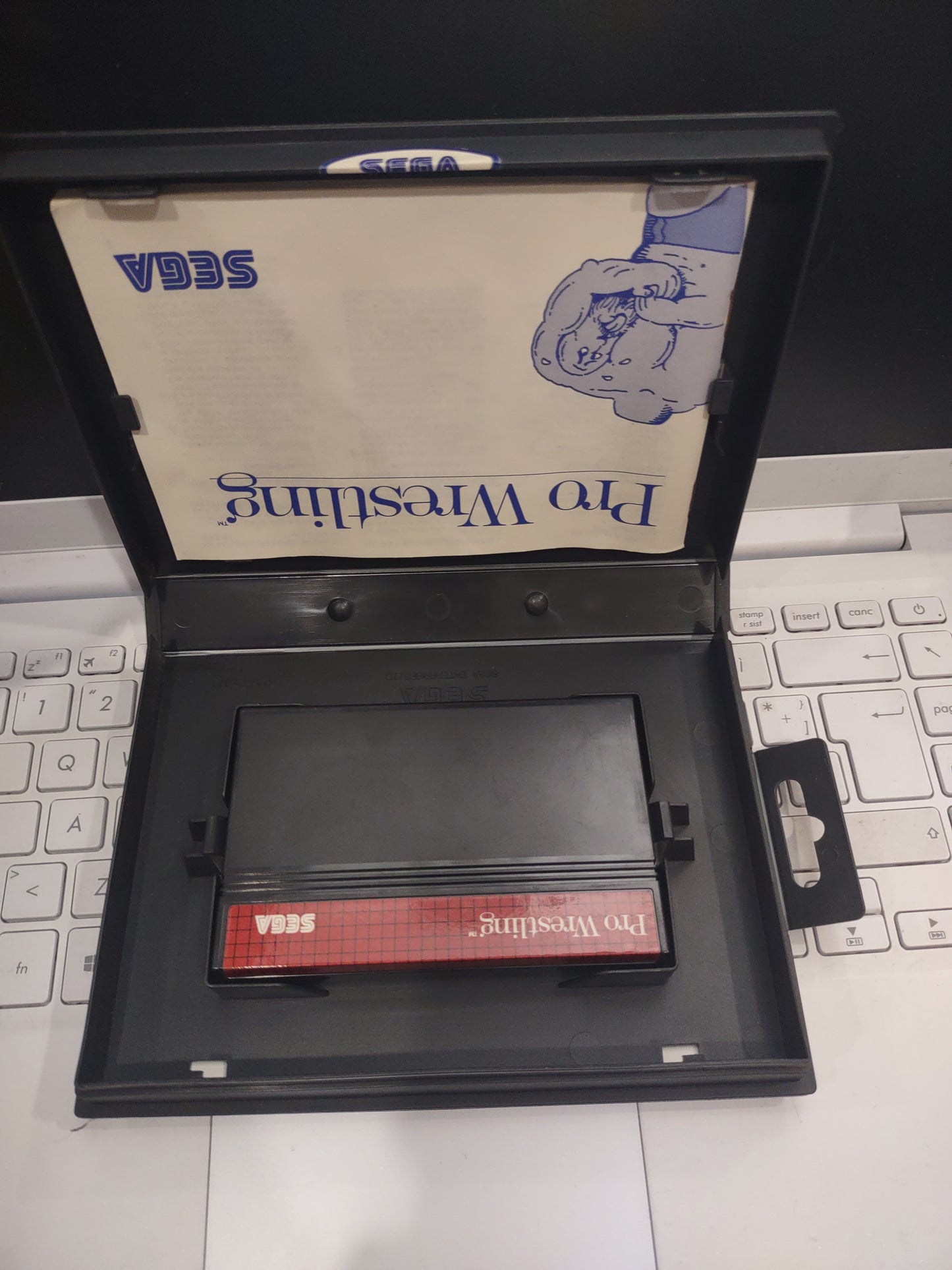 Gioco sega master system pro wrestling